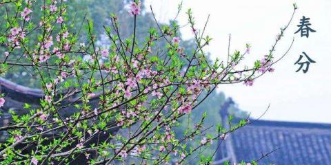 中醫(yī)總結(jié)出來的春季養(yǎng)生“宜忌” 春分過后您應(yīng)了解