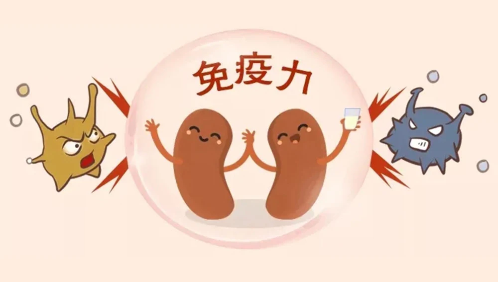 中醫(yī)解析什么是“免疫力”，如何提高免疫力！