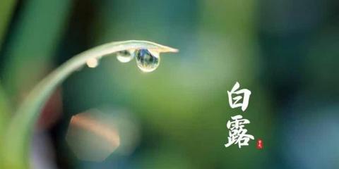 今日白露，中醫(yī)和您聊聊養(yǎng)生之法
